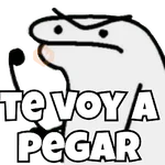 🌈🤍✨️Flork Pal Whatsapp✨️🤍🌈
