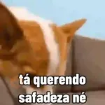 sapecagens - animadas