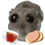 Rata triste Hámster Memes 🐭🐹