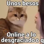 Gatos pa Responder 2🐱🌼