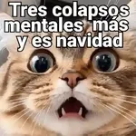 Gatos pa Responder 2🐱🌼