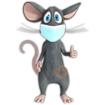 rata triste 😶‍🌫️ rata tímida 💖