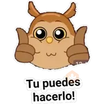 🦉buhos🦉 