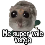 Rata Triste🐀🥲