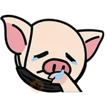 CERDITO Y SU MASCARILLA NPC
