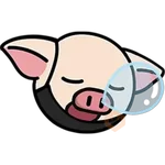 CERDITO Y SU MASCARILLA NPC