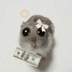 Rata Triste-Memes🐭🥹✨