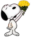 Flores amarillas🌻🍃💐