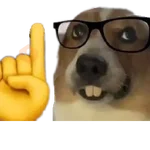 Perros xd