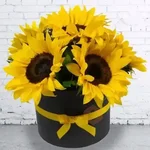 Flores Amarillas🌻💛