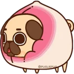 Doggy Food 🍪🍩🍫 nory