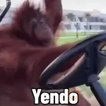 😎 ANIMADOS CON TEXTOS 😎