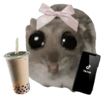 Ratita triste - Memes 🥲🤣