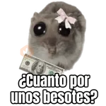 Ratita triste - Memes 🥲🤣
