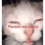 ratita