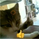 ‎👍🏻‎