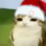 tralalerotralala