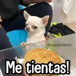 Memes Random➍ღ💫