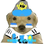 futbol 