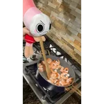 Memes dandys world