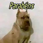 MELHORES MEMES ALEATÓRIOS