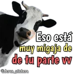 Animales con frases 💬