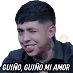 STICKERS DE WESTCOL🇨🇴