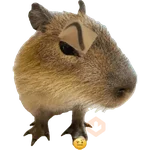Capibara