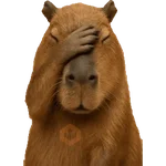 Capibara