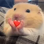💖🥹 Amor - Chat 💖🥺