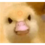 Memes Chistosos Random 2