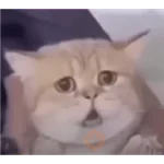 Memes Chistosos Random 2