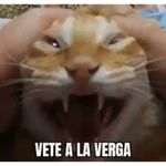 animales 2