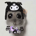 Ratita ✨
