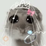 Ratita ✨