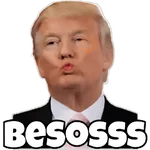 🔥Trump Pal Whatsapp🔥