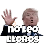 🔥Trump Pal Whatsapp🔥
