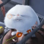 Snowball random 🐰