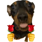 sexo cn animales pequeños