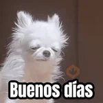 Lunes, no quiero trabajar 😭