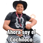 jajajaja 