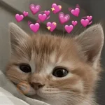 💕 PERROS Y GATITOS AMOROSOS 💕