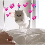 💕 PERROS Y GATITOS AMOROSOS 💕