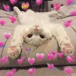 💕 PERROS Y GATITOS AMOROSOS 💕