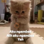 Meme Ngambek