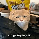 Meme Ngambek