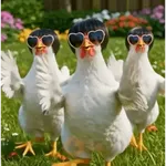 Dance,Gallinas virales TikTok🐔