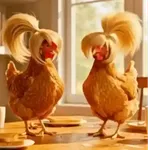Dance,Gallinas virales TikTok🐔