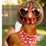 Dance,Gallinas virales TikTok🐔