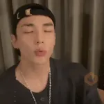 Stray kids memes